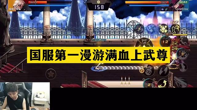 国服第一漫游满血上武尊！太假了吧