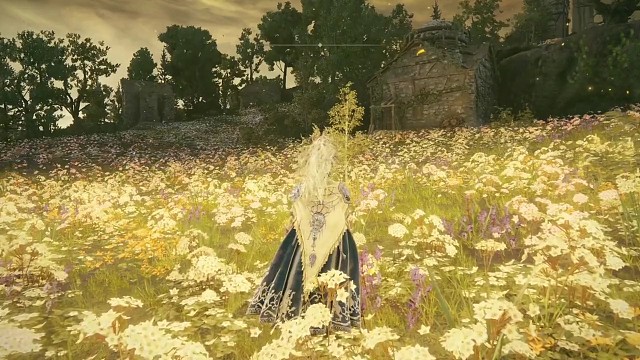 再见黄金树幽影
再见艾尔登法环
感谢大家！