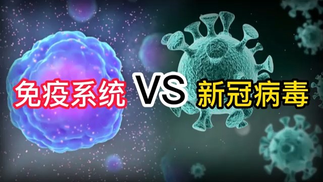 人體的免疫系統(tǒng)請(qǐng)自己保護(hù)自己的身體