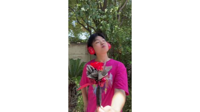 申请和你一起跨七夕