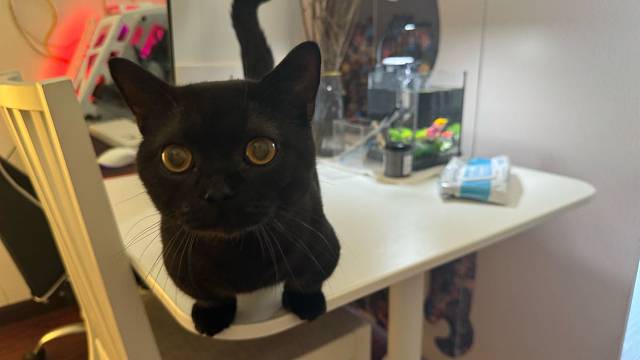 KK对战-无限撤离ing～