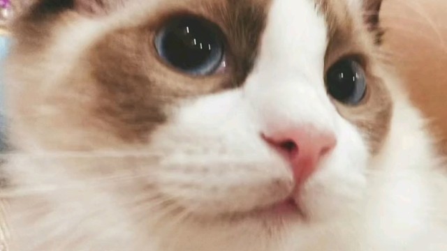 我和我的好闺蜜小时