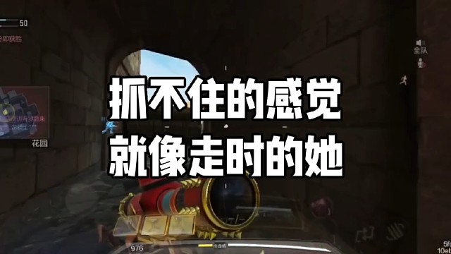 点关注清风带你们上大分