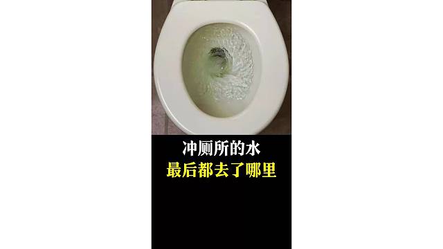 冲厕所的水最后都去了哪里？