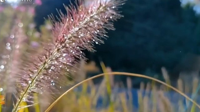 文档编辑器如何为教师简化评分和反馈