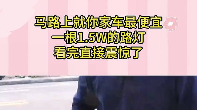 馬路上就你家車最便宜，一根1.5W的路燈，看完直接震驚了！