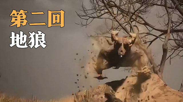 老司机-地狼打法