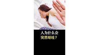 人為什么會(huì)突然嘔吐？