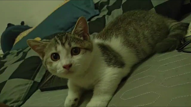 逆子有时候还是很可爱的