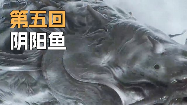 《黑神话:悟空》sask-阴阳鱼