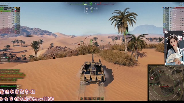 261:白兔来玩呀。