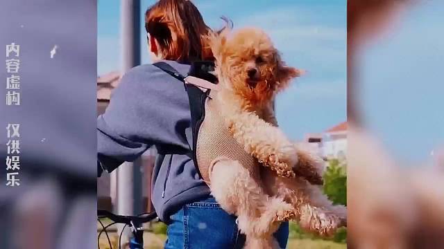 神奇的世界就是充满快乐