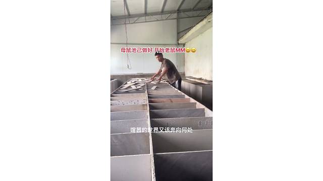 不想打螺絲了就回來創(chuàng)業(yè)吧