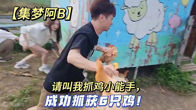 【集夢(mèng)阿B】請(qǐng)叫我抓雞小能手，成功抓獲6只雞！