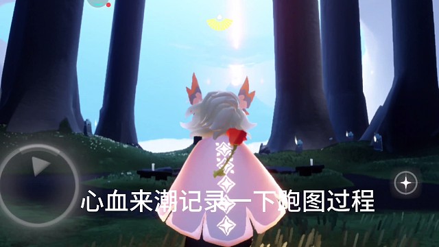 光遇日常