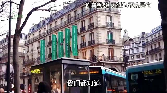 中國(guó)隨處可見(jiàn)綠化帶，為啥注重環(huán)保的歐洲幾乎沒(méi)有？他們真不用？