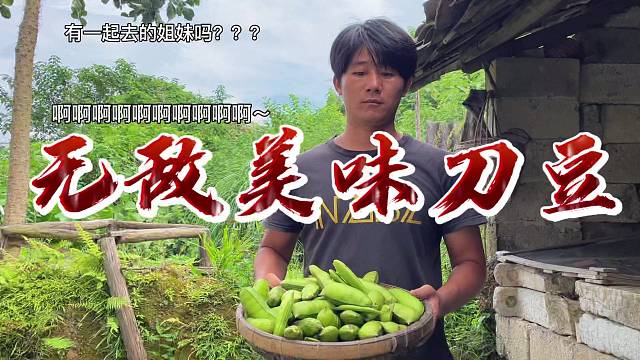 刀豆，每一囗都是大自然的味道