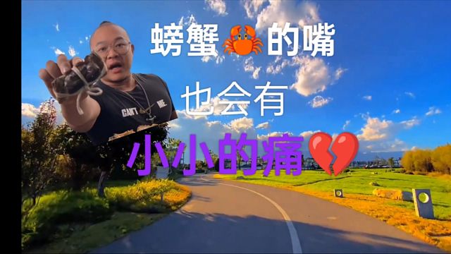 《螃蟹的嘴，也會有小小的痛》