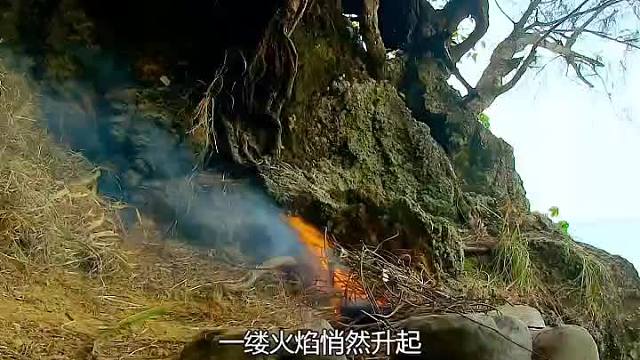 荒野求生44