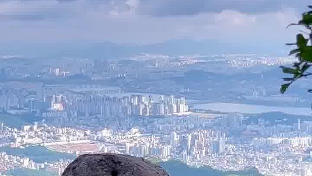 看這小貓咪，安靜舔毛，幾秒硬控，果斷愛上！