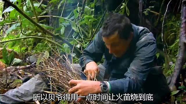 貝爺沼澤荒野求生