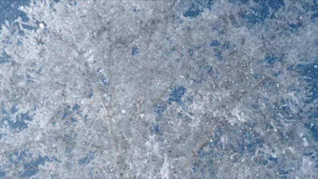 冰雪春天｜我們的冰雪夢