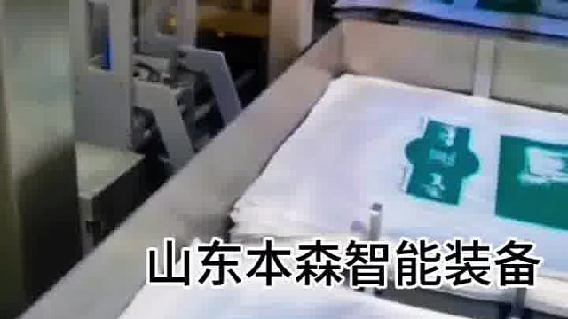 高交消光粉全自動包裝機(jī)