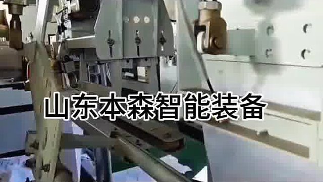 聚合氯化鋁全自動包裝機(jī)