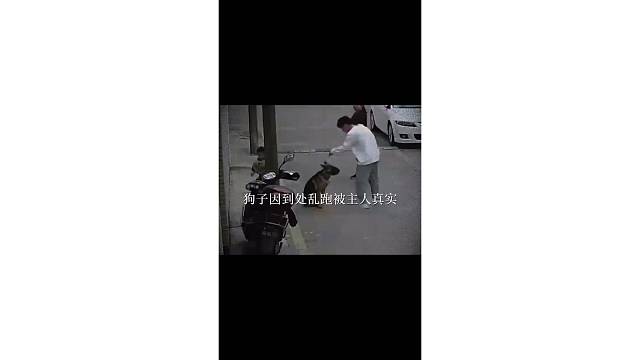 每日一笑