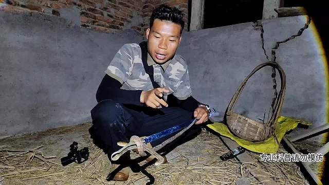 尋找尖吻蝮-片段1