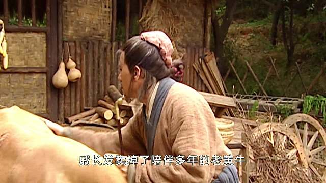 連城訣6
