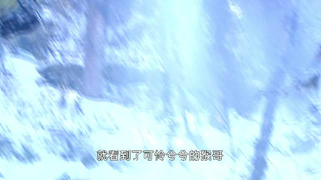 連城訣29