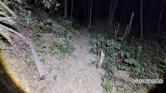 發(fā)現(xiàn)五步蛇第二條