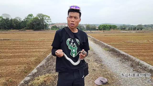 尋找萬蛇之王-片段1