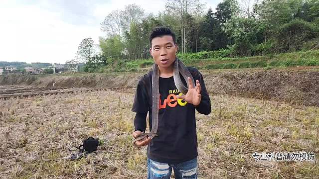 追蹤萬(wàn)蛇之王-片段2