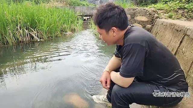 軍訓(xùn)節(jié)目