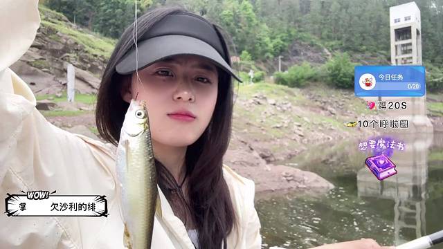 上魚還是在上次啦