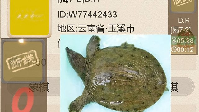 揭棋-斷線狗之里程碑- 歷史首次干跑云南玉溪斷線狗. D.R.=dog rubbish.  一路走好