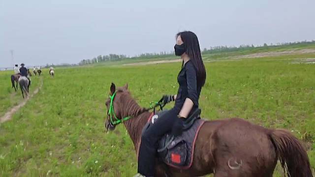 馴馬？簡簡單單啊