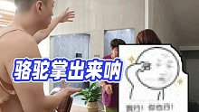 【藥水哥s】駱駝?wù)瞥鰜?lái)吶