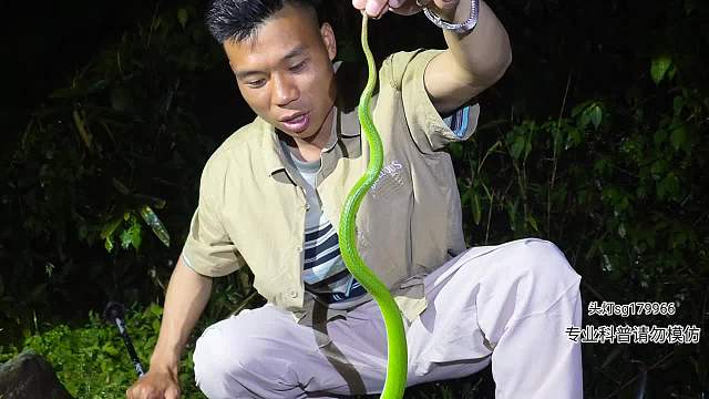 浙江行第一站福建竹葉青