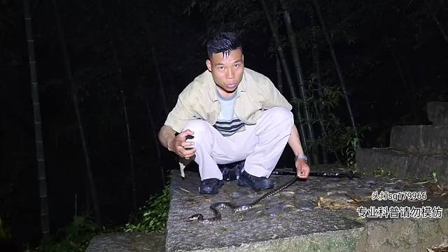 浙江行第一站，期待新蛇種-片段2