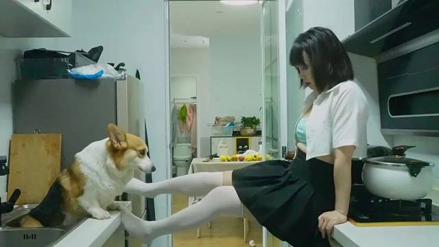 看到?jīng)]有 給狗 都不給你