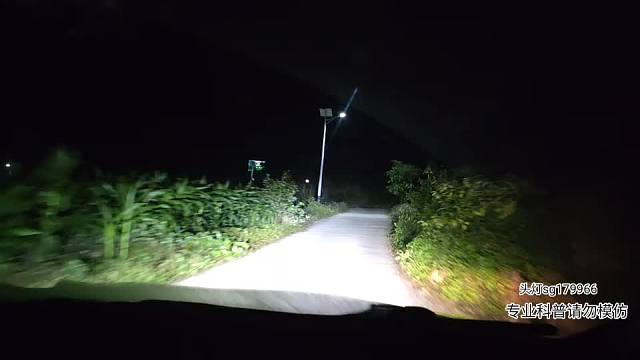 開車路上遇到尖鱗原矛頭蝮