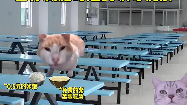 導(dǎo)員：丸辣