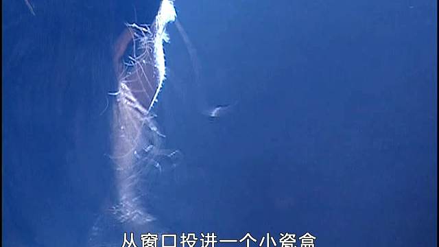 俠骨丹心13