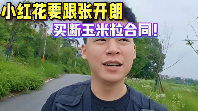 小紅花要跟張開朗，買斷玉米粒合同！癡情大男孩！