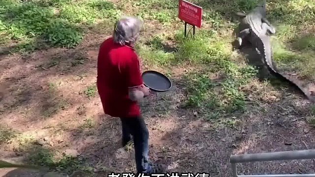 老登你給我出來