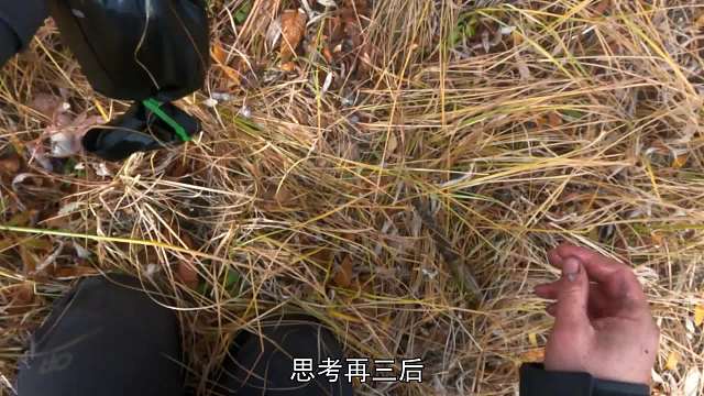 威廉的冠軍之路，贏得荒野獨居第十一季的獎金