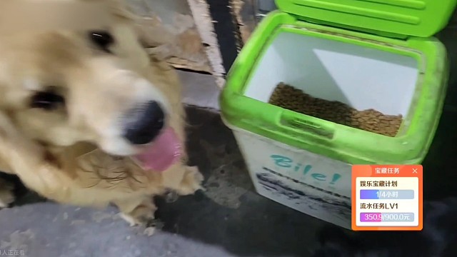 哈瑞表示沒吃飽 瘋狂暗示看眼色